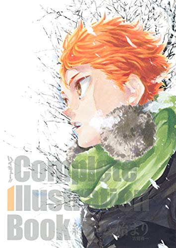 HAIKYU!! Complete Illustration book The End and the Beginning - WAFUU JAPAN