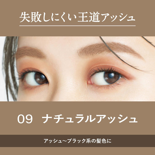 Heavy Rotation Coloring Eyebrow 09 Natural Ash 8g - WAFUU JAPAN