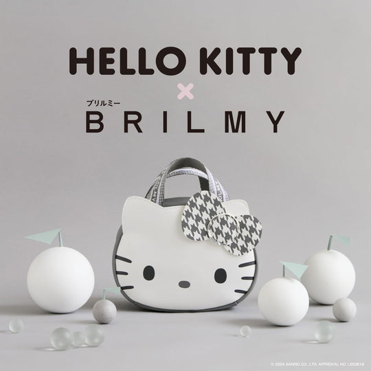 HELLO KITTY × BRILMY cosmetic pouch book - WAFUU JAPAN