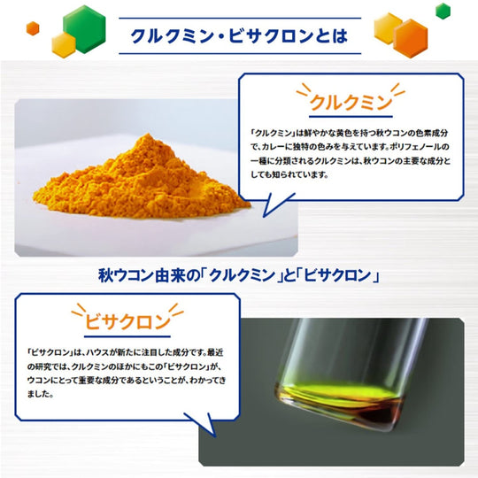 House Foods Ukon no Chikara Turmeric Granules (10 Servings) - WAFUU JAPAN