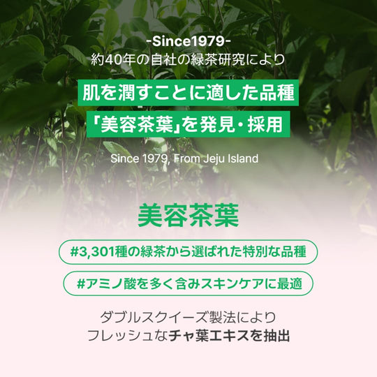 Innisfree Green Tea Seed Hyaluronic Cream My Melody Limited Edition 50mL - WAFUU JAPAN