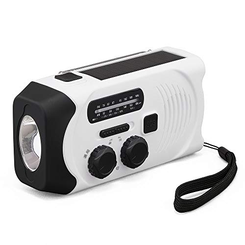 IRIS OHYAMA Radio Disaster prevention goods Small rechargeable hand crank led light JTL - 29 White - WAFUU JAPAN