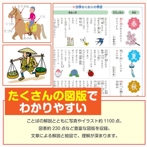 Japanese Dictionary of the Japanese Language 12th ed all - color - WAFUU JAPAN