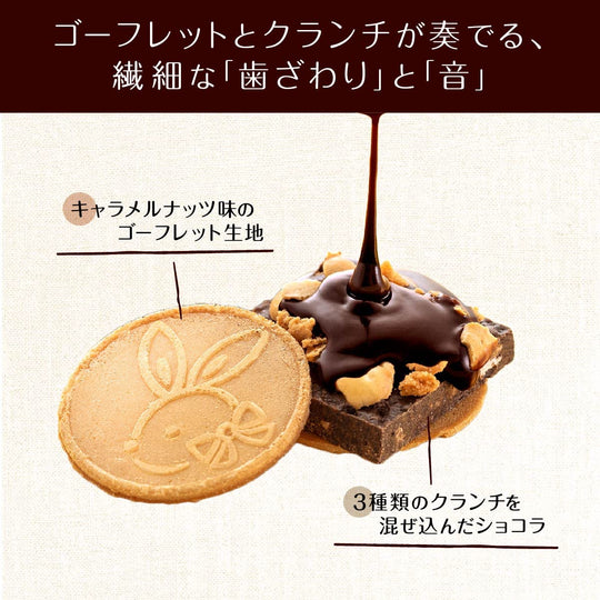 Kamakura Goro Honten Kamakura Choco Sando Dayo (10 pieces) - WAFUU JAPAN