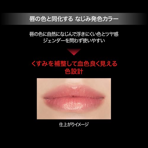 KATE Lip Monster Clear Tone - WAFUU JAPAN