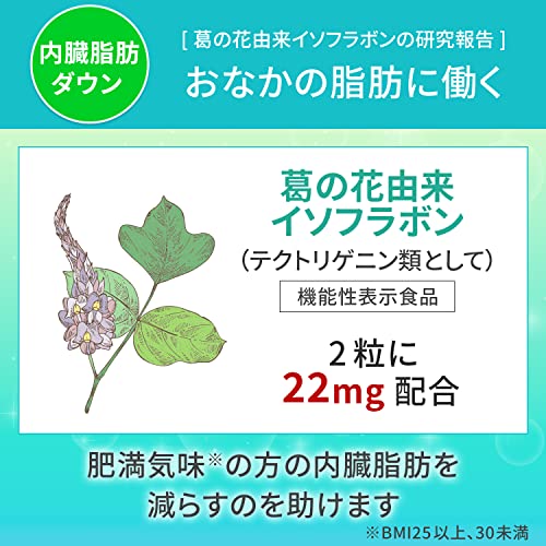 Kirin Imuse Immunocare Visceral Fat Reduction 3.5g (250mg x 14 capsules) - WAFUU JAPAN