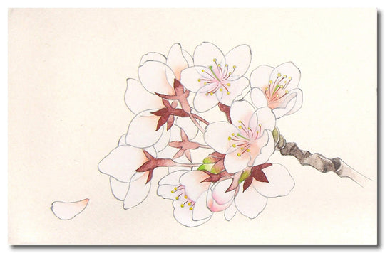 Kissho Japanese Painting Colors Set Premium 100 Colors - WAFUU JAPAN