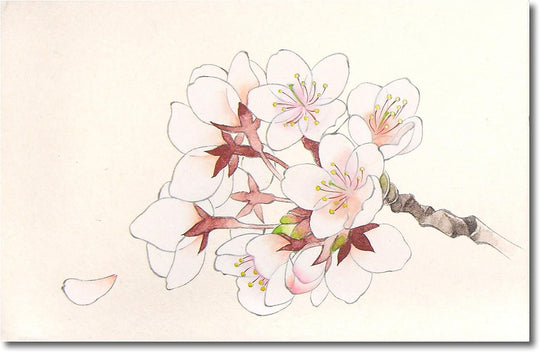 Kissho Japanese Painting Pearl Color Set 8 Colors - WAFUU JAPAN