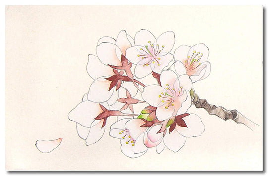 Kissho Japanese Painting Pigments Iwaenogu Set 30 Colors No 1 - WAFUU JAPAN