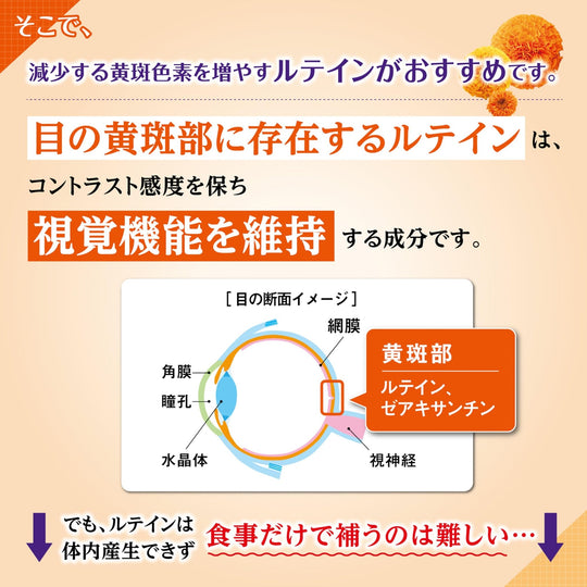 Kobayashi Lutein Eye Supplement for Blurriness/Haze 60 Tablets (60 Days) - WAFUU JAPAN