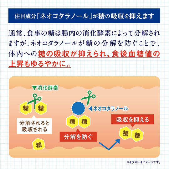 Kobayashi Salacia 100 FOSHU Blood Sugar Support Supplement 60 Tabs (20 Days) - WAFUU JAPAN