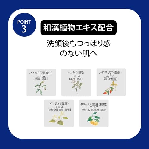 KOSÉ SEKKISEI Facial Cleansing Essence Soap Set 120g with Whitening Lotion Trial - WAFUU JAPAN