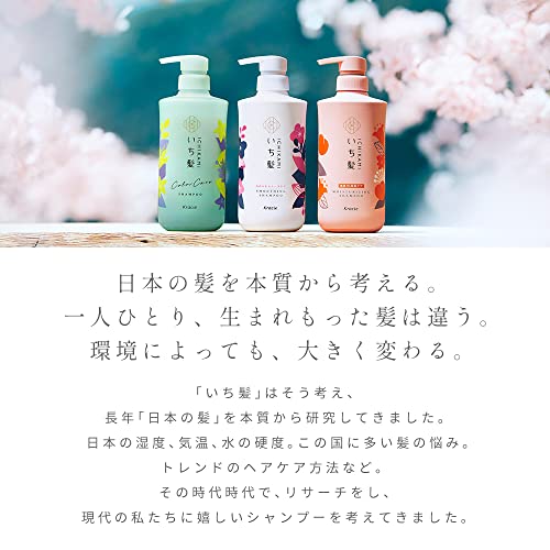 Kracie ICHIKAMI Dense W Moisturizing Care Shampoo 480ml - WAFUU JAPAN
