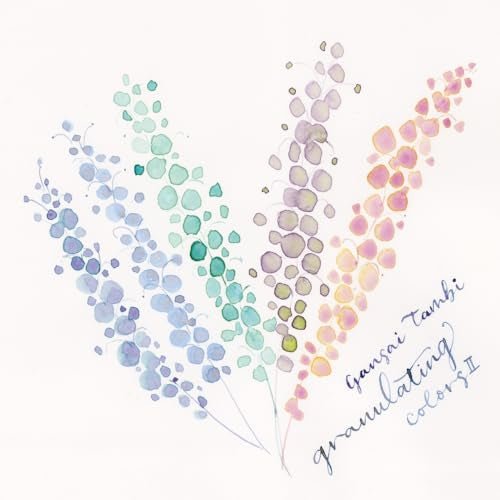 Kuretake Gansai Tambi Granulating Colors Set Model MC20GN2 5 Colors - WAFUU JAPAN