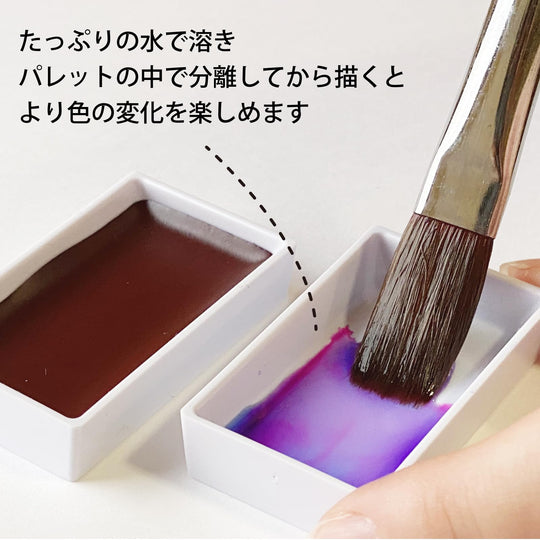 Kuretake Granulating Watercolor Paint Set 5 Colors MC20GN 5V - WAFUU JAPAN