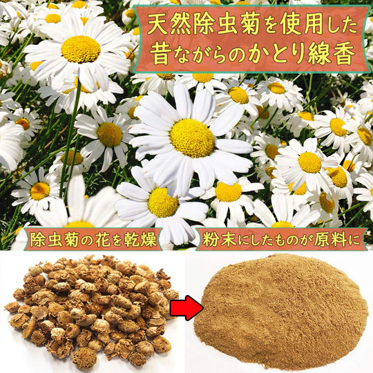 Lion Chemical Natural Pyrethrum Katori Senko Mosquito Incense Sticks Regular Type 30 Rolls - WAFUU JAPAN
