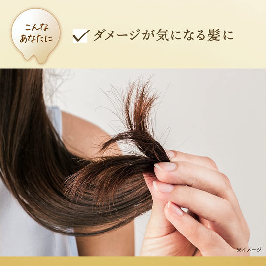 Lux Japan Super Rich Shine Damage Repair Hair Cream - WAFUU JAPAN