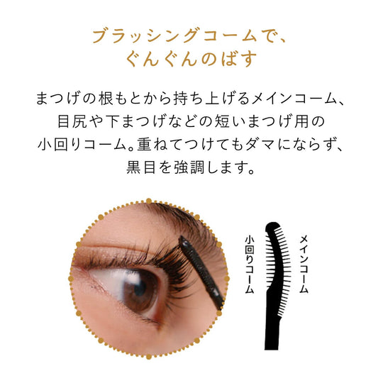 Majolica Majorca Lash Expander Long Long Long EX BK999 Black Eye Define Black - WAFUU JAPAN