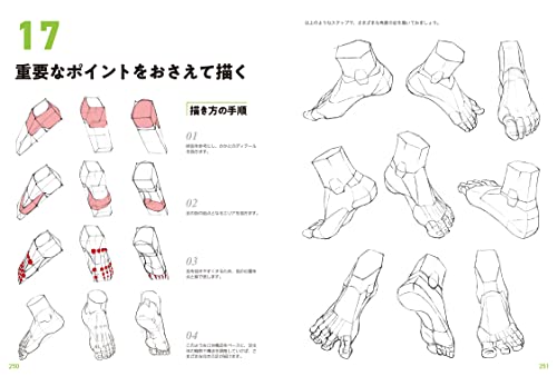 Master Guide to Drawing the Human Body: Character Drawing from the Basics book - WAFUU JAPAN