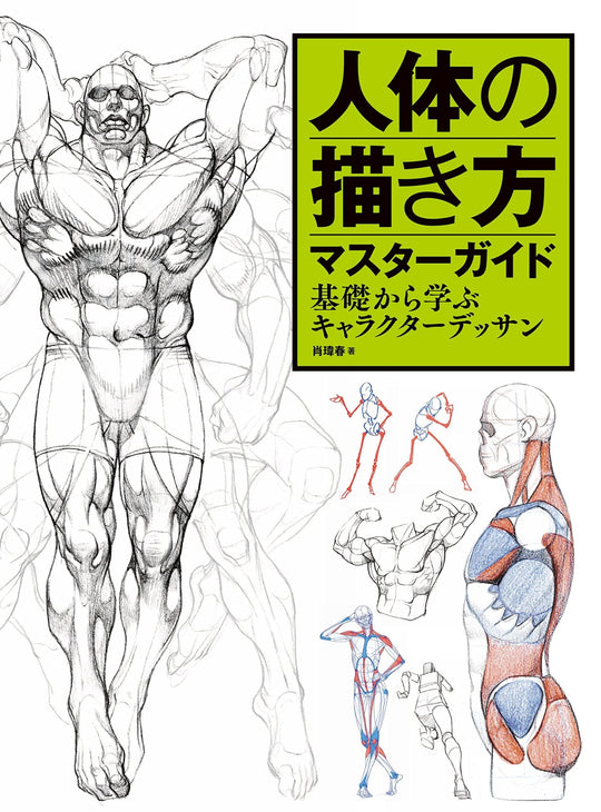 Master Guide to Drawing the Human Body: Character Drawing from the Basics book - WAFUU JAPAN