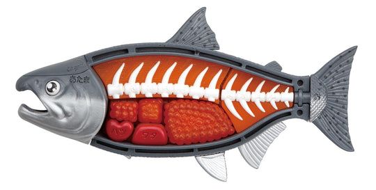 MegaHouse King Salmon Dismantling Puzzle Buy One! Edition - WAFUU JAPAN