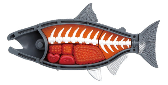 MegaHouse King Salmon Dismantling Puzzle Buy One! Edition - WAFUU JAPAN