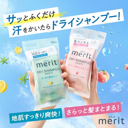 Merit Day Plus Dry Shampoo Sheets White Green 12 sheets - WAFUU JAPAN