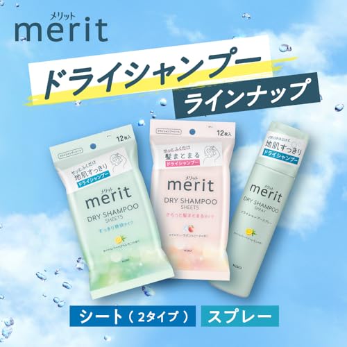 Merit Dry Shampoo Sheet Dry Hair Clumping Type 12 sheets - WAFUU JAPAN