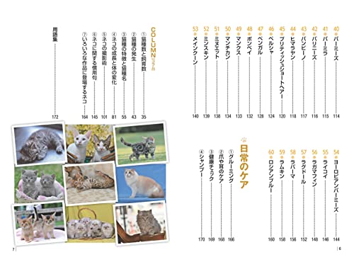 Most Understandable Cat Breed Guide Japan and World 60 Breeds Book - WAFUU JAPAN