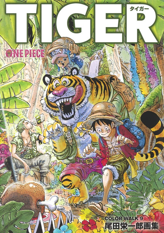 ONE PIECE Illustration Collection COLORWALK 9 TIGER Aizou Comics - WAFUU JAPAN