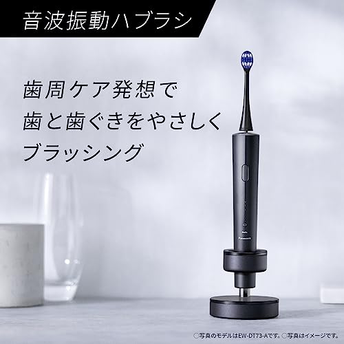 Panasonic Doltz High Grade Sonic Vibration Toothbrush White EW - DP37 - W USB Type - C - WAFUU JAPAN