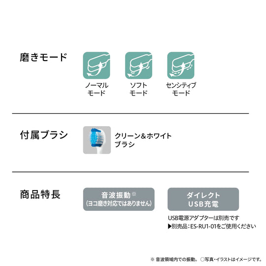 Panasonic Doltz Sonic Vibration Electric Toothbrush EW - DM74 White - WAFUU JAPAN