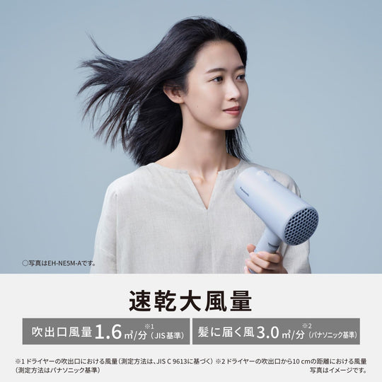 Panasonic Ionity Hair Dryer (EH - NE5M - H) — Quick - dry High Airflow Dark Gray - WAFUU JAPAN