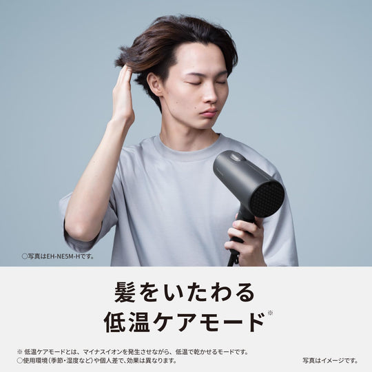 Panasonic Ionity Hair Dryer (EH - NE5M - H) — Quick - dry High Airflow Dark Gray - WAFUU JAPAN