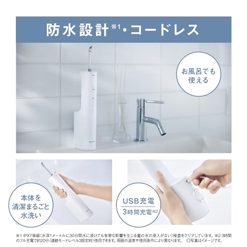 Panasonic Oral Rinser Jet Cleansing Washer Doltz White EW - NJ80 - W AC100V - AC240V - WAFUU JAPAN