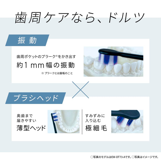 Panasonic Sonic Vibration Toothbrush EW - DP57 - S Silver High Grade Model AC100 - 240V - WAFUU JAPAN