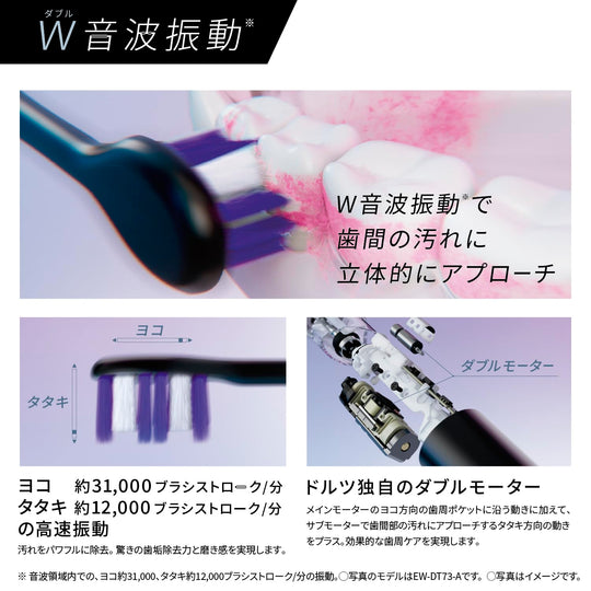 Panasonic Sonic Vibration Toothbrush EW - DP57 - S Silver High Grade Model AC100 - 240V - WAFUU JAPAN