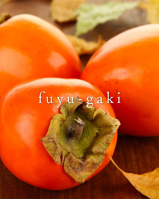 Pilot Fountain Pen Ink 50ml Fuyugaki Persimmon Orange INK50FG - WAFUU JAPAN