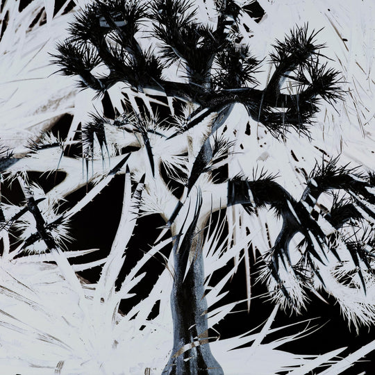 Plastic Tree (Standard Edition) [CD] - WAFUU JAPAN