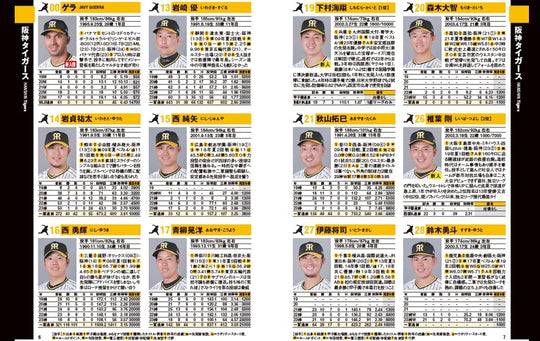 Professional Japanese Baseball Player Database 2025 - WAFUU JAPAN