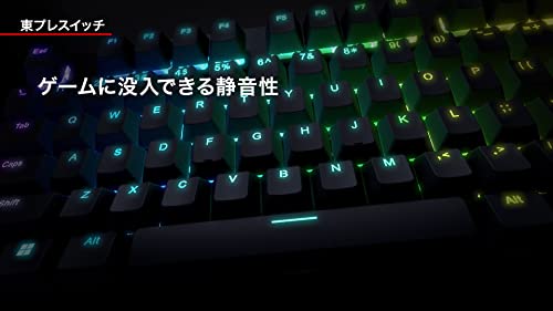REALFORCE Rapid Trigger GX1 Quiet 30g TKL Gaming Keyboard 87 Keys 0 1mm Operation - WAFUU JAPAN