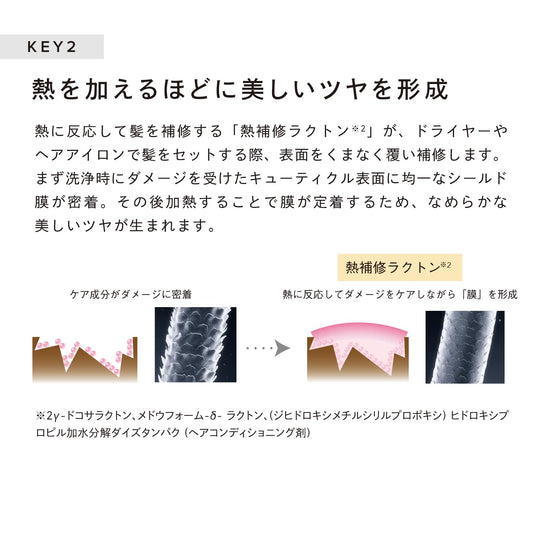 ReFa Beautech Shampoo & Treatment — 500ml - WAFUU JAPAN