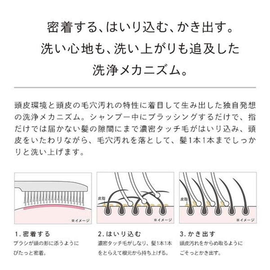 ReFa Ion Care Brush Premium (Black) - WAFUU JAPAN