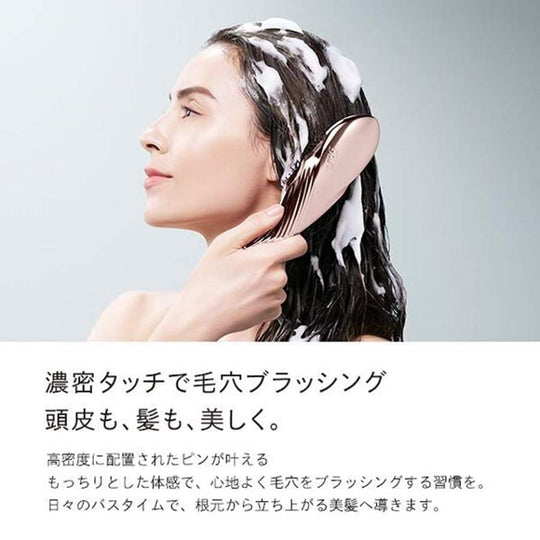 ReFa Ion Care Brush Premium (Black) - WAFUU JAPAN