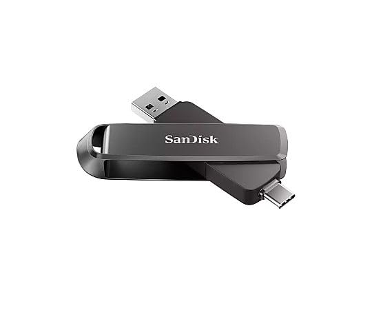 SanDisk Slim Dual - Drive Portable SSD 2TB - WAFUU JAPAN