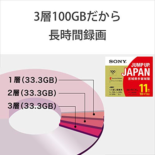 SONY Japanese Blu-ray Disc BD-RE XL 100GB 11 discs 11BNE3VZPS2 - WAFUU JAPAN