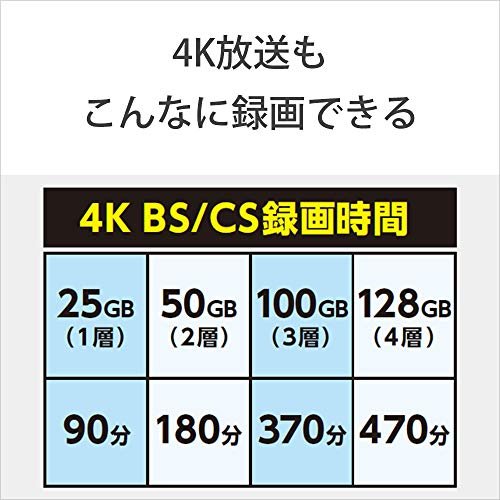 SONY Japanese Blu-ray Disc BD-RE XL 100GB 11 discs 11BNE3VZPS2 - WAFUU JAPAN