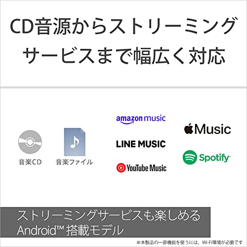 SONY Walkman NW - A307 64GB (A300) — Hi - Res wireless LDAC/aptX HD 36h Blue - WAFUU JAPAN