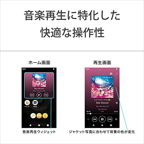SONY Walkman NW - A307 64GB (A300) — Hi - Res wireless LDAC/aptX HD 36h Blue - WAFUU JAPAN