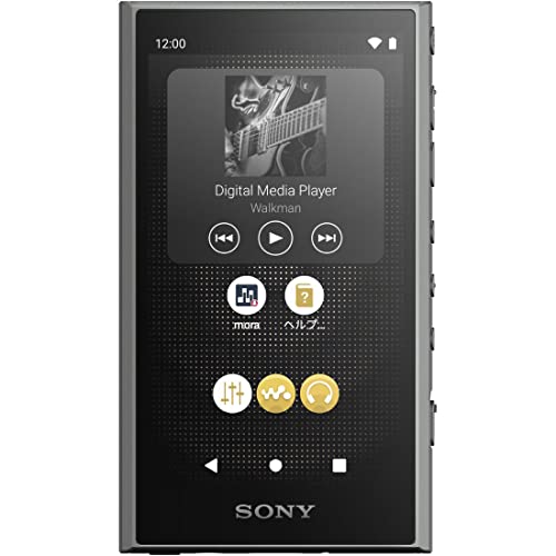 SONY Walkman NW - A307 64GB A300 Series Hi - Res Wireless MP3 Player Gray - WAFUU JAPAN